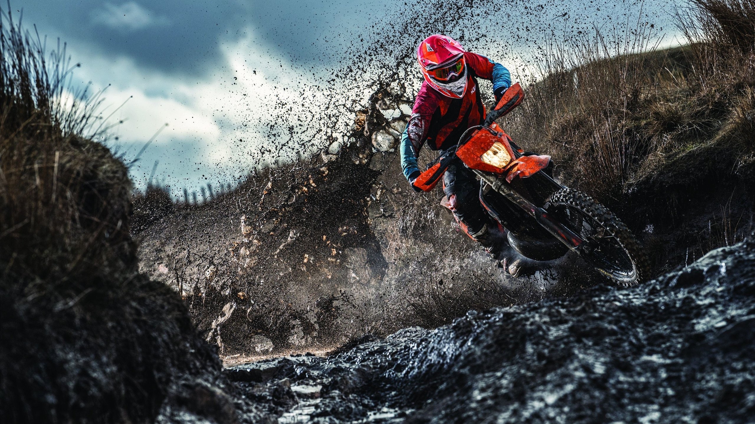 澳大利亚队夺冠引发媒体广泛关注，澳大利亚队员