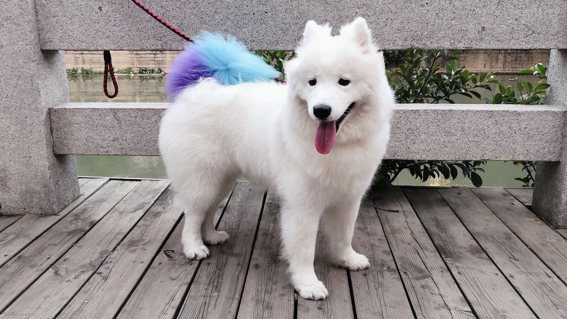 开云官方网站-_青少年专项培训营：开启未来之门_，青少年培训班