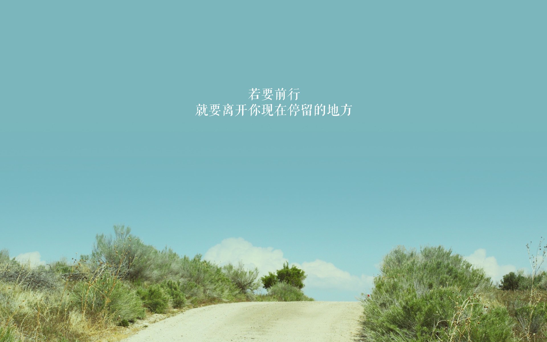 开云棋牌-全新赛季：技术革新与赛道革新的完美结合，什么叫技术革新